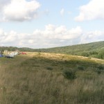 Yellow-Field-Entrance